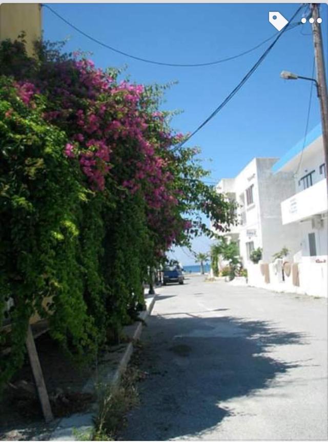 Sea Breeze 2 Apartments Mastichari  Eksteriør billede